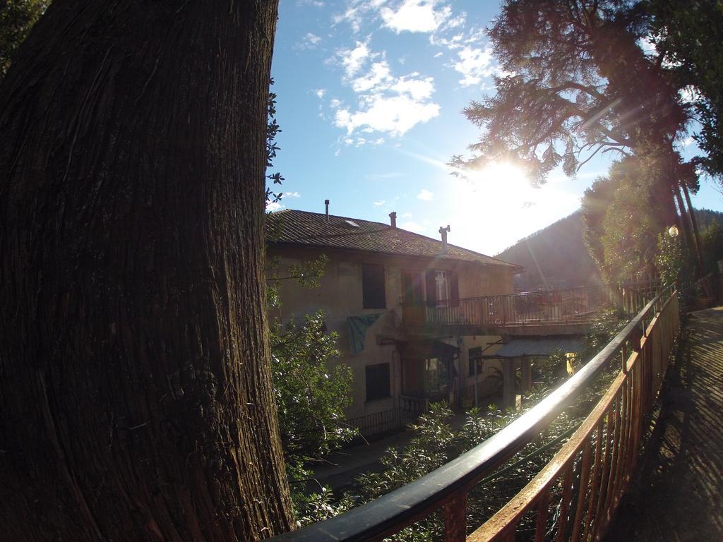 B&B Il Cedro Genoa Exterior photo